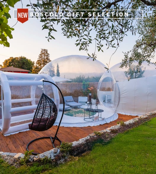 Soggiorno in Bubble Room in Liguria tra gli ulivi