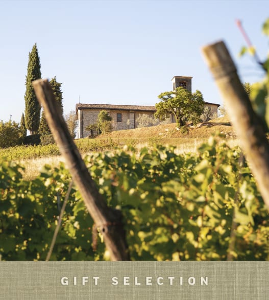 Blind Wine Tasting in Franciacorta image number 0