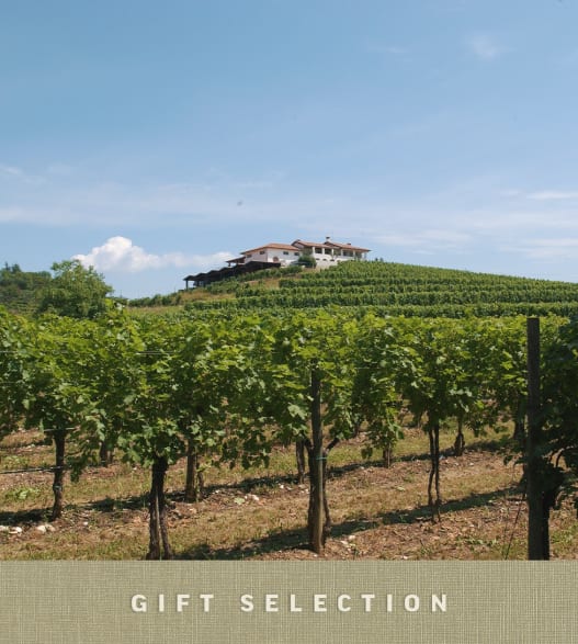 Degustazione sensoriale di vini con esperto in Friuli image number 0