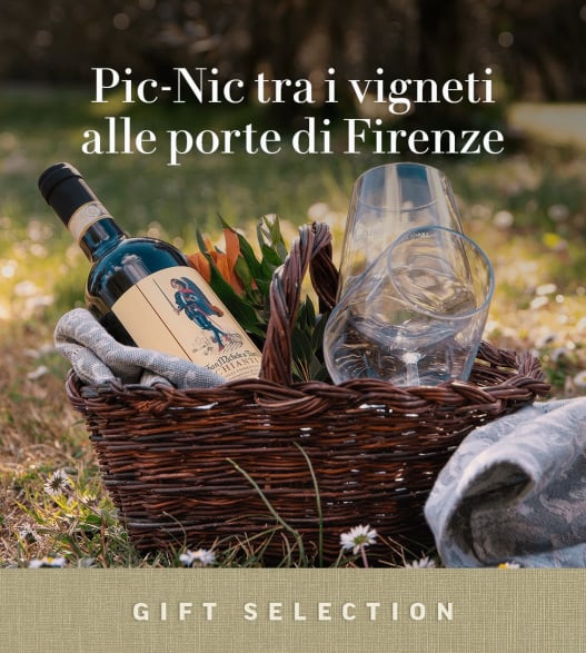 Pic-nic tra i vigneti alle porte di Firenze 