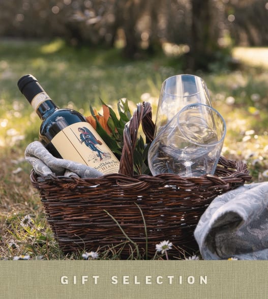 Pic-Nic tra i vigneti Firenze image number 0