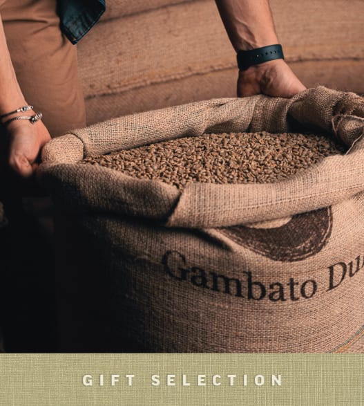 Degustazione di caffè in una storica torrefazione veneta image number 0