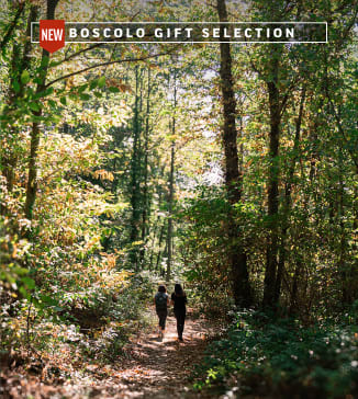 Forest bathing: un'immersione nella natura nelle Marche