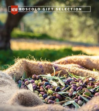Soggiorno con laboratorio di pittura e degustazione di olio nel Lazio