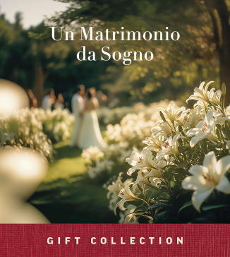 Un Matrimonio da Sogno