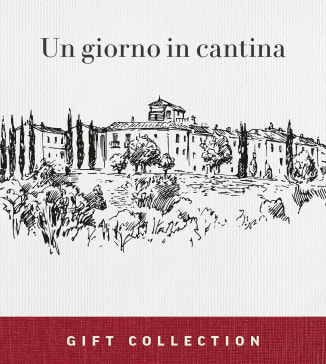 Un Giorno in Cantina