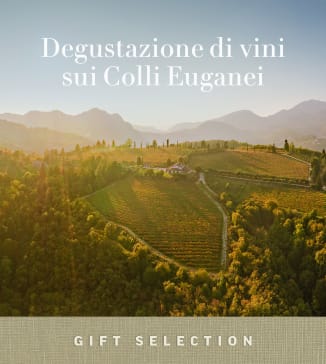 Degustazione di vini sui Colli Euganei