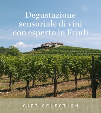 Degustazione sensoriale di vini con esperto in Friuli