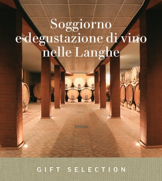 Soggiorno e degustazione di vino nelle Langhe