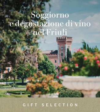 Soggiorno e degustazione di vino nel Friuli