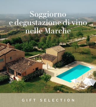 Soggiorno e degustazione di vino nelle Marche