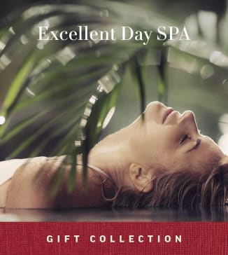 Excellent Day SPA
