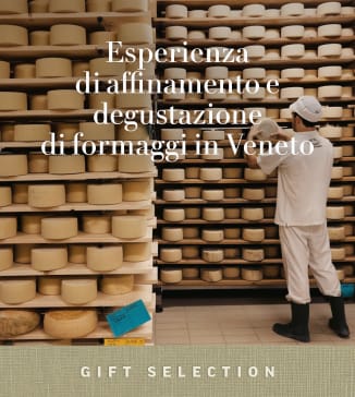 Esperienza di affinamento e degustazione di formaggi in Veneto