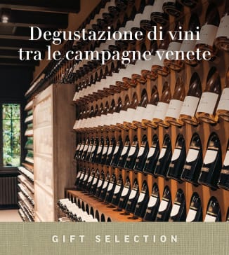 Degustazione di vini tra le campagne venete