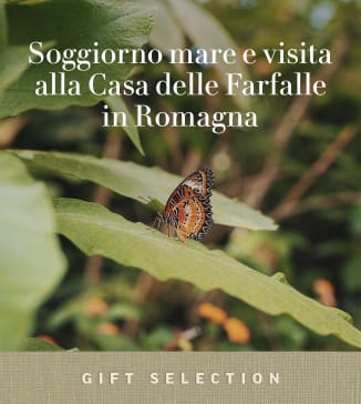 Soggiorno mare e visita alla Casa delle Farfalle in Romagna