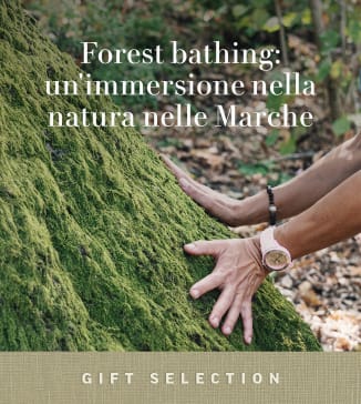 Forest bathing: un'immersione nella natura nelle Marche