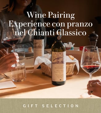Wine Pairing Experience con pranzo nel Chianti Classico