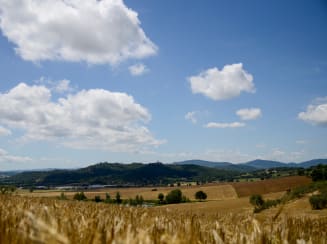 Montecalvo in Foglia