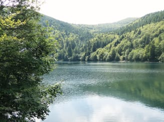 Avene les Bains