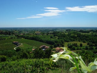 Breganze