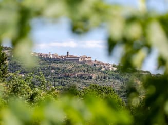 Cortona