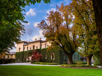 Cervesina