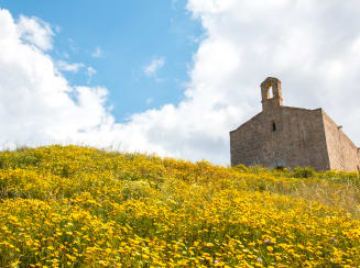 Sannicola