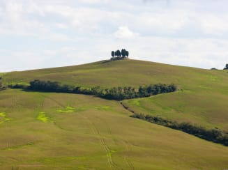 Riparbella