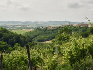 Rosignano Monferrato