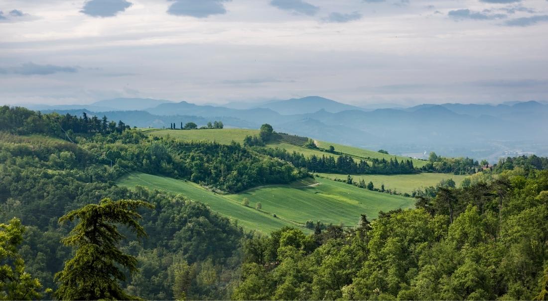 colli bolognesi