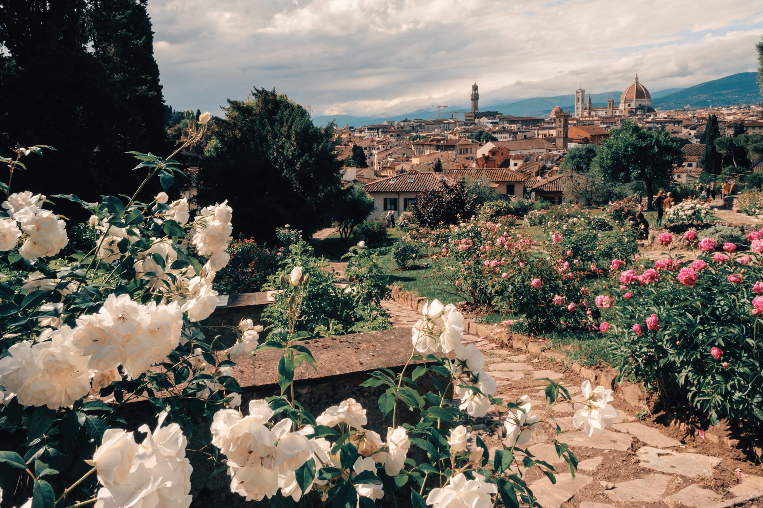 Giardino delle rose a Firenze