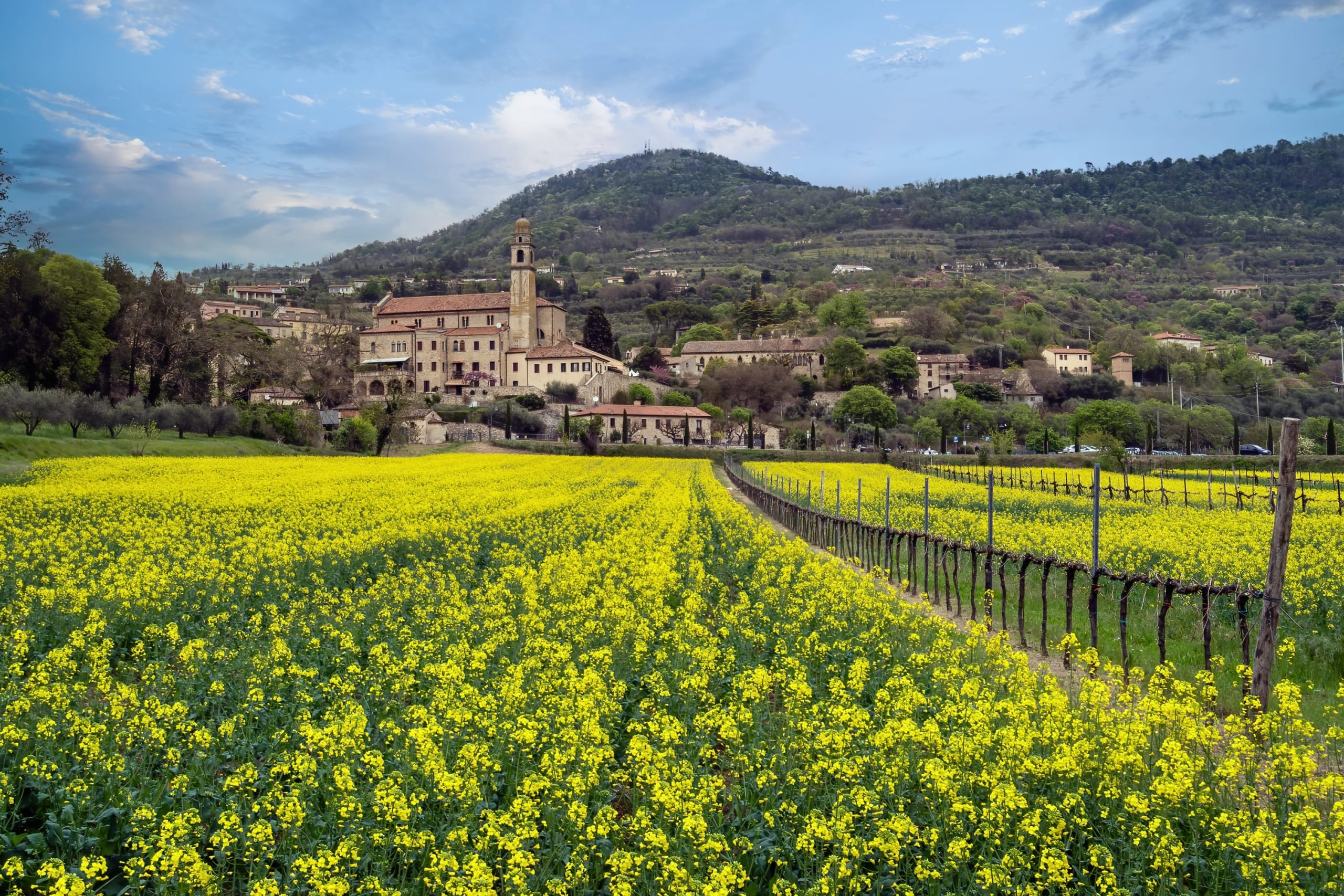 Arquà Petrarca