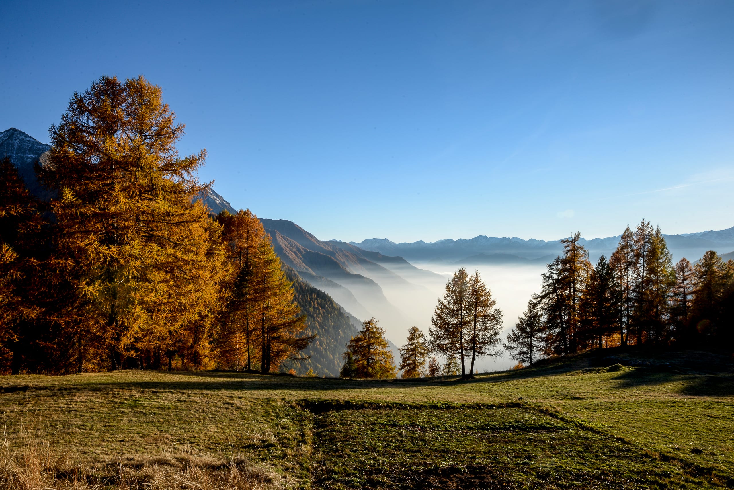 Champoluc